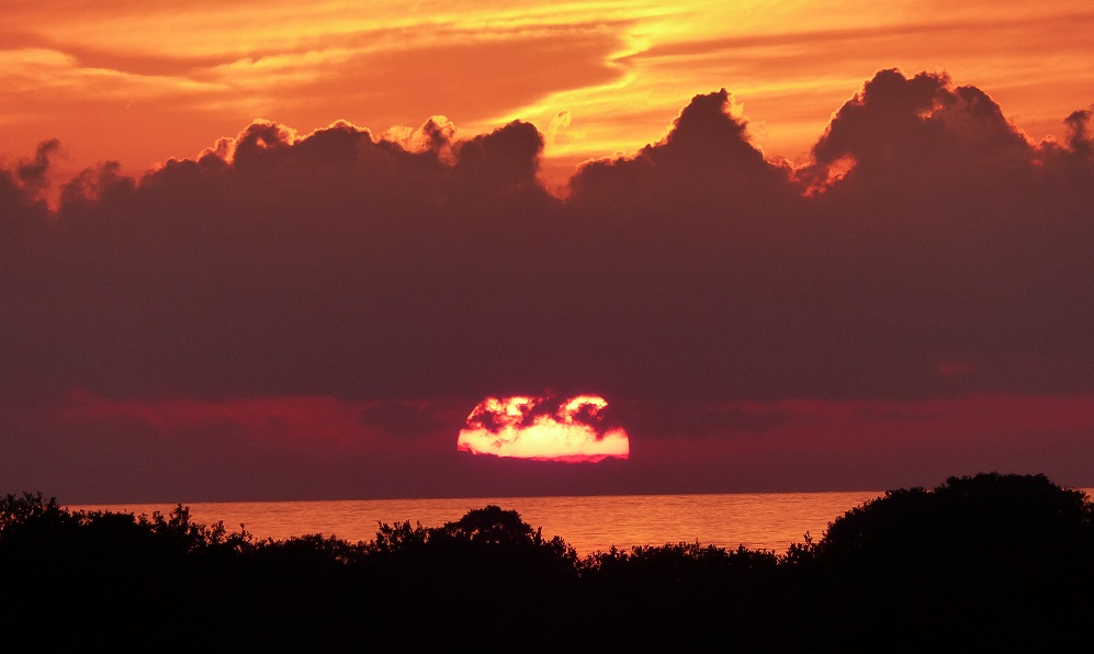 Setting sun seen from Cedar Key